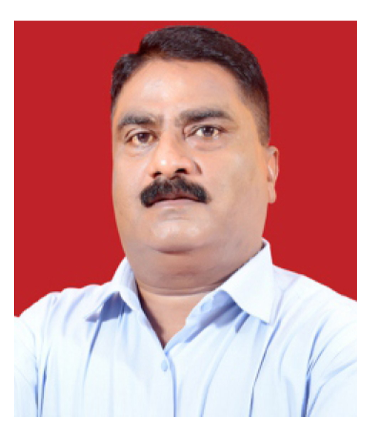 team image